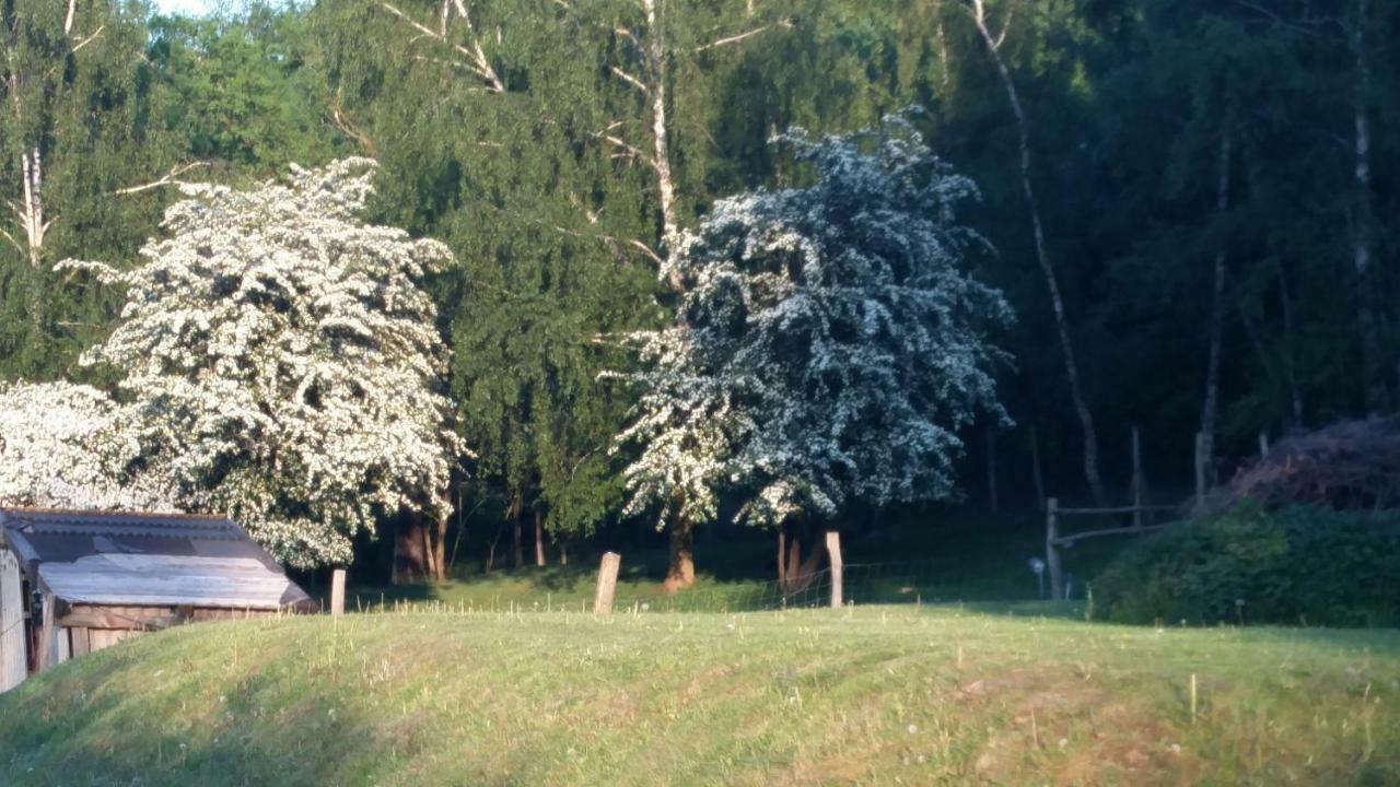 Zimmervermietung Am Holzberg Thallwitz Exterior foto